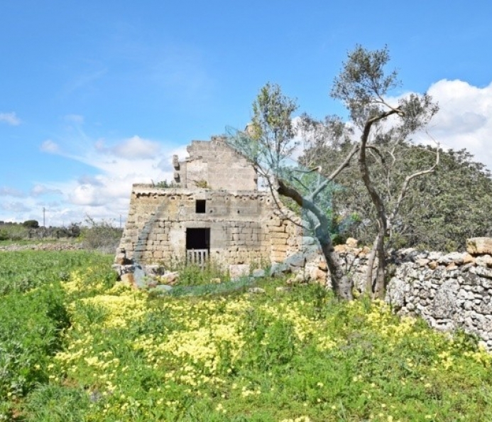 Antico Casolare con Terreno