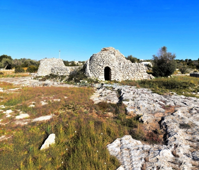 Pajara Vista Mare