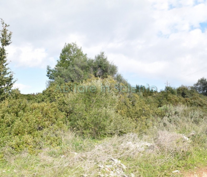 Terreno con Fabbricato Rurale in Pietra