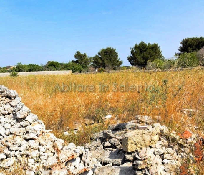 Terreno Agricolo