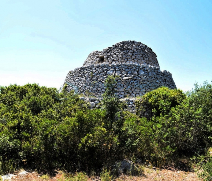 Terreno Agricolo con Pajara