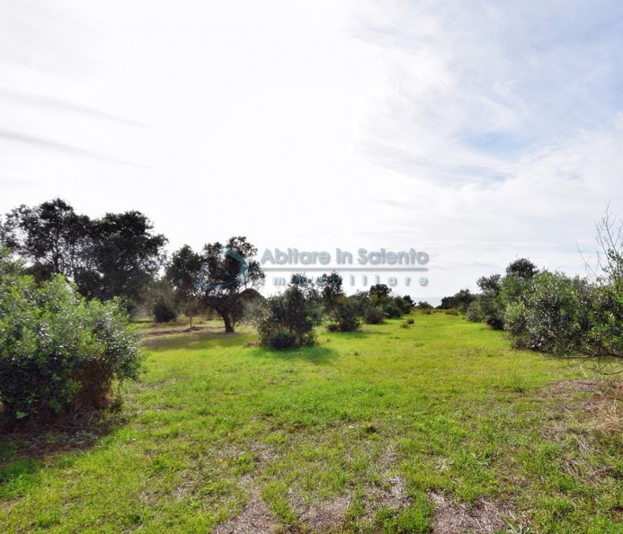 Terreno agricolo con vista mare