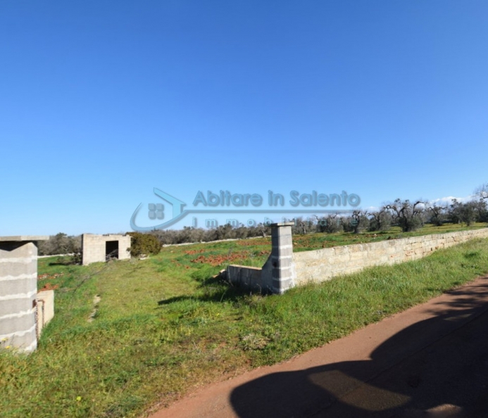 Terreno agricolo vicino costa Adriatica 