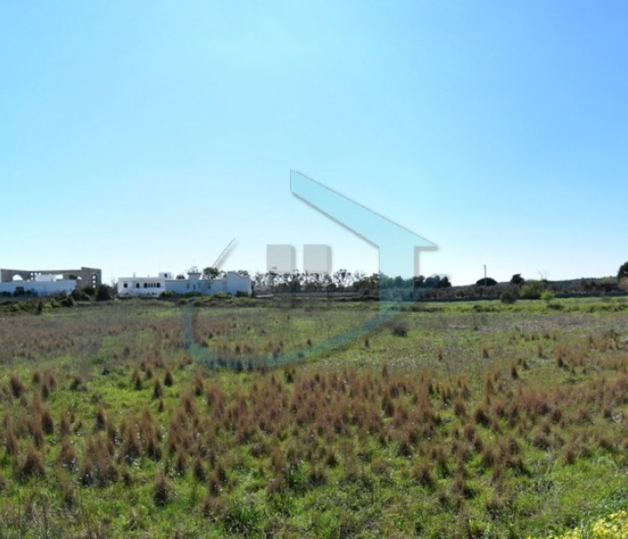 Ampio Lotto di terreno 