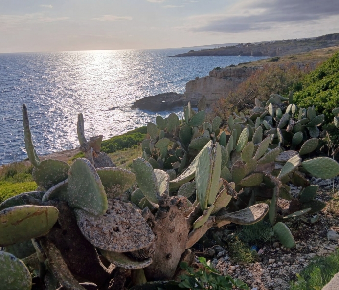 Terreno Panoramico Vista Mare 