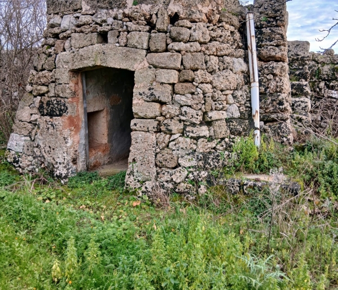 Terreno con Ulivi e Antica Pagliara