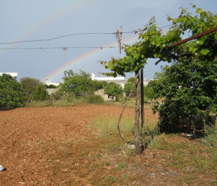 Terreno Edificabile con Progetto