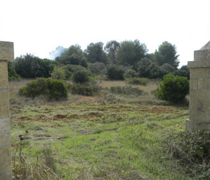 Terreno Agricolo 