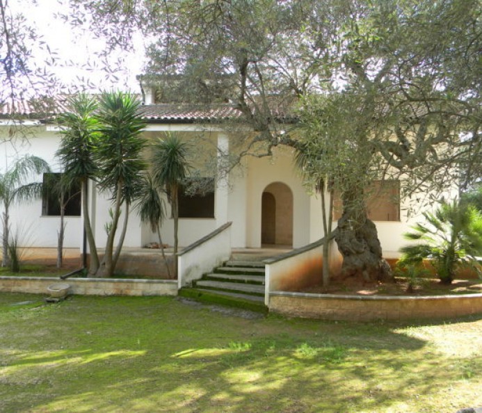 Villa immersa nel verde