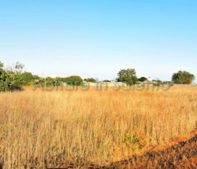 Terreno in zona semi-centrale