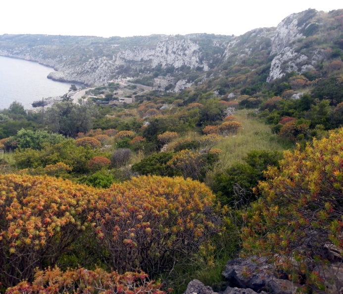 Terreno Costa Adriatica Vista Mare