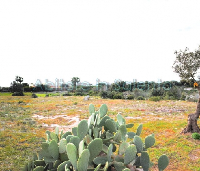 Terreno con Vista Mare 