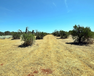 img2